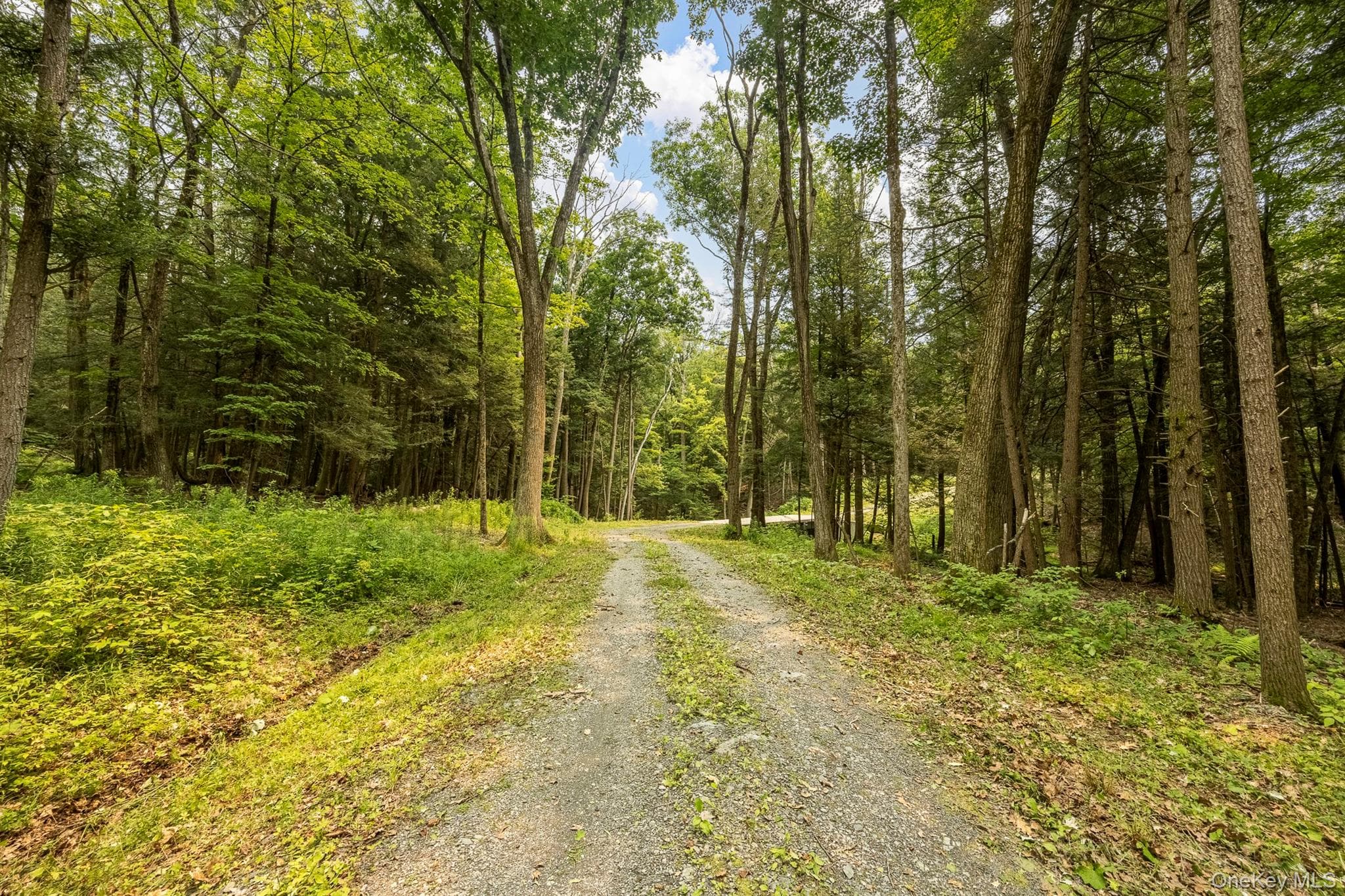 276 E Hill Road thumbnail 6
