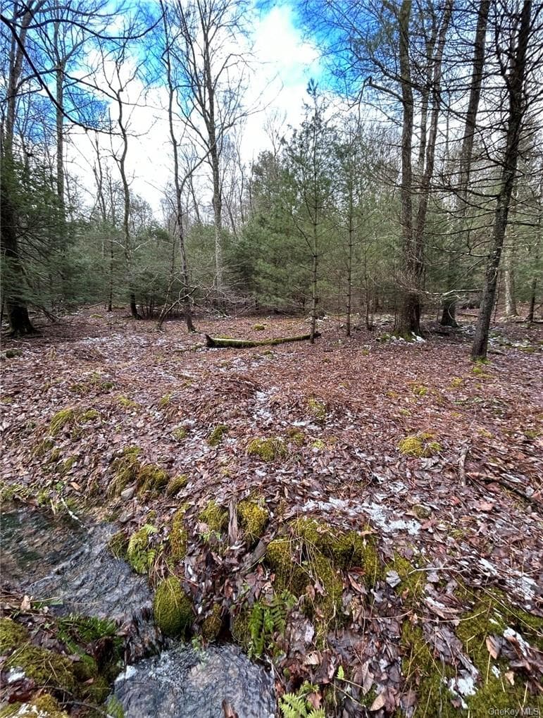 145 Brandt Road thumbnail 6