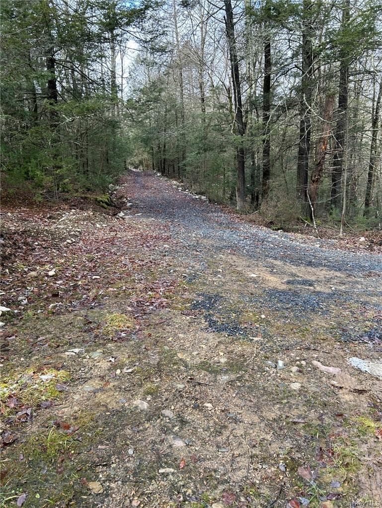 145 Brandt Road thumbnail 2