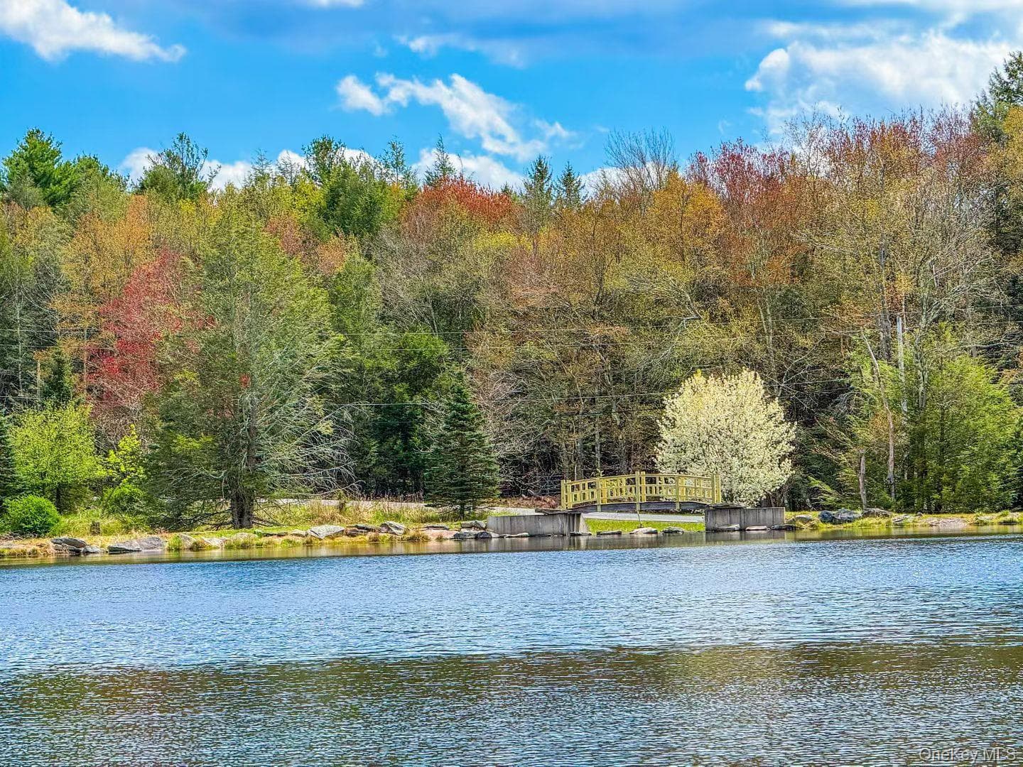 235 Cantrell Road thumbnail 48