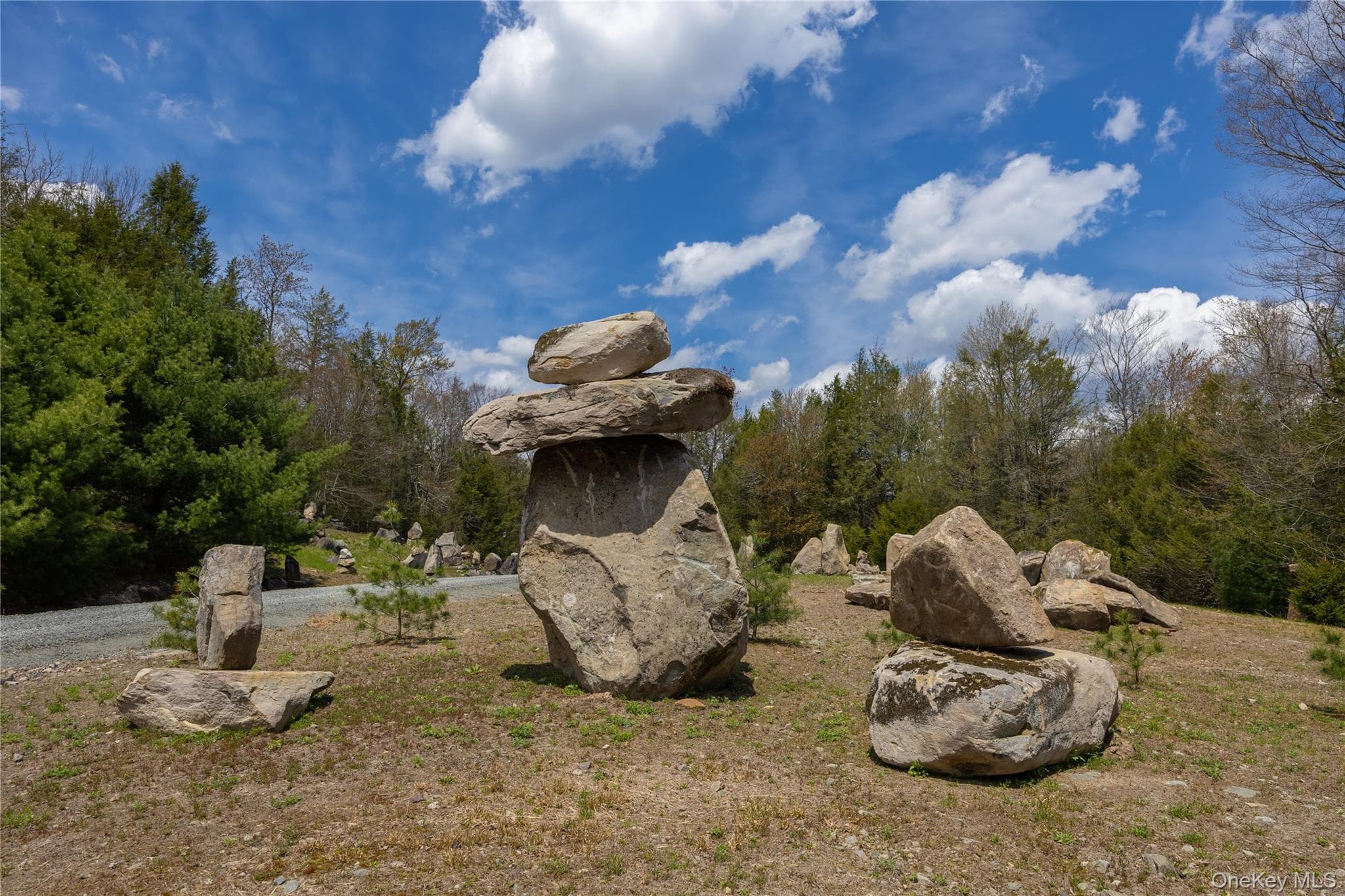 235 Cantrell Road thumbnail 40