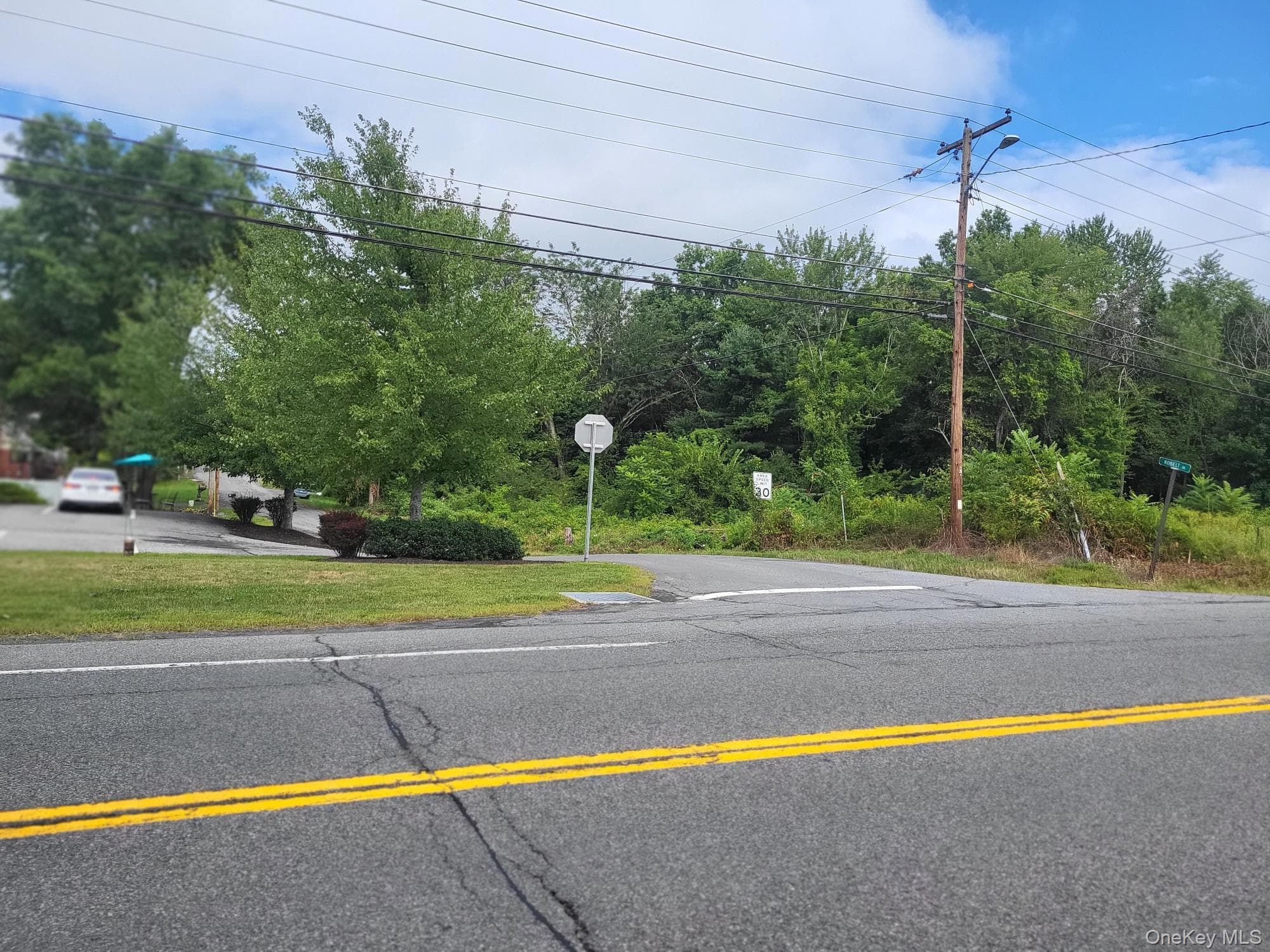 W NYS RTE 208 Highway (bona Ventura) Avenue thumbnail 8