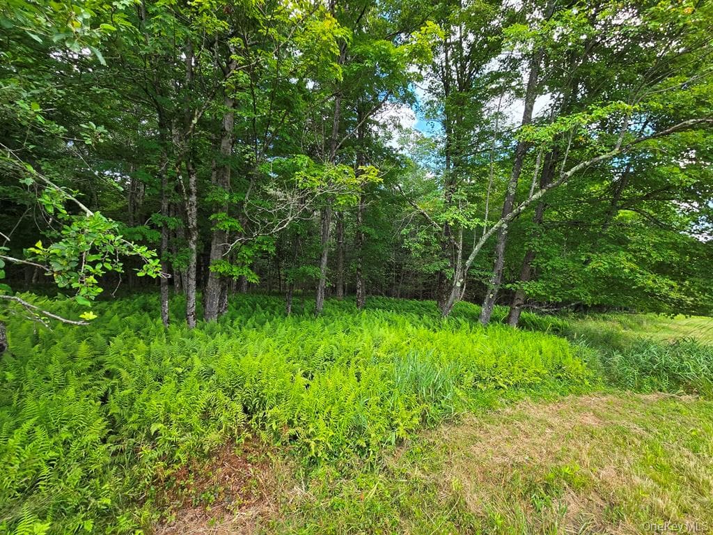 40 Spartan Hill Road thumbnail 30