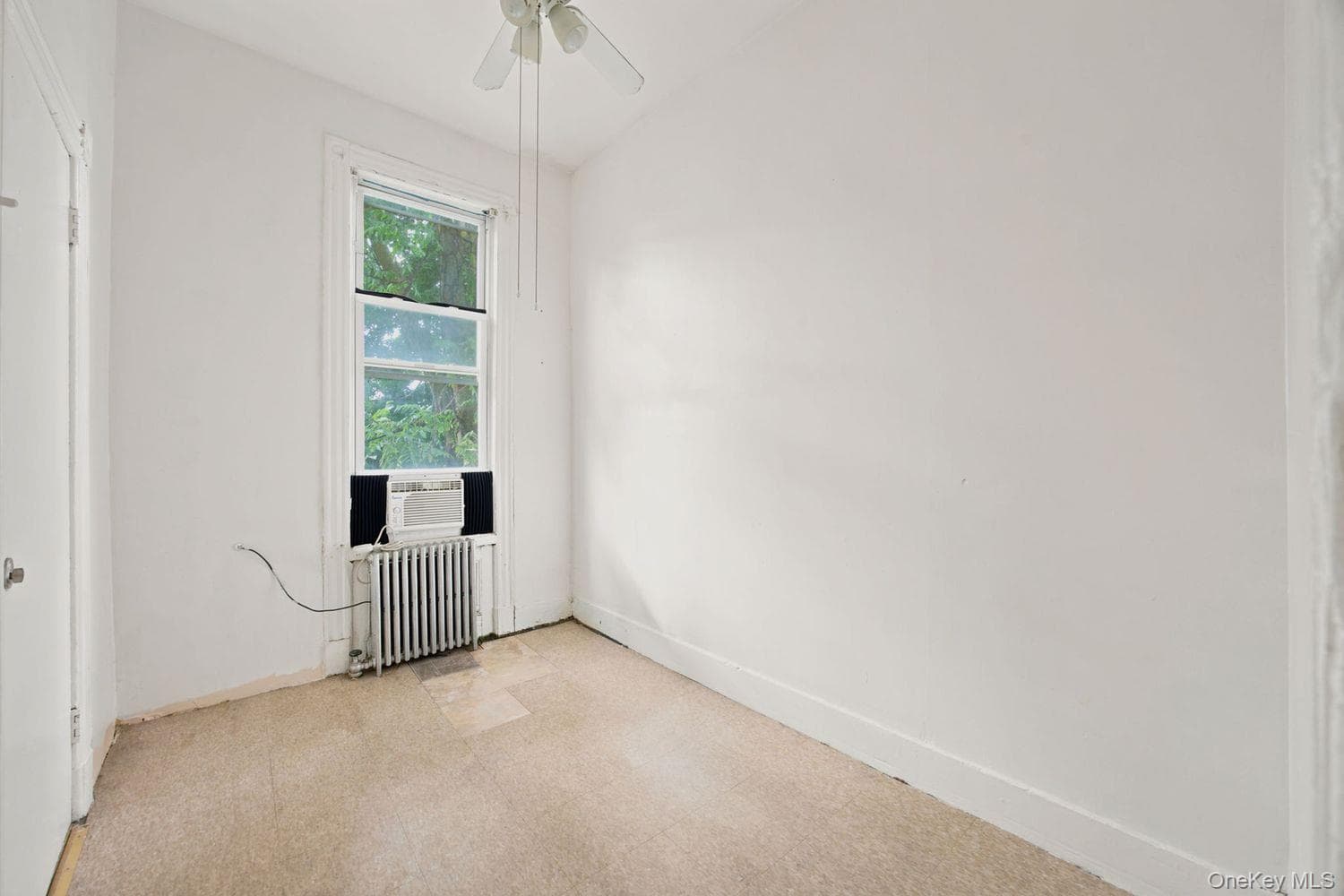 243 Woodbine Street thumbnail 28