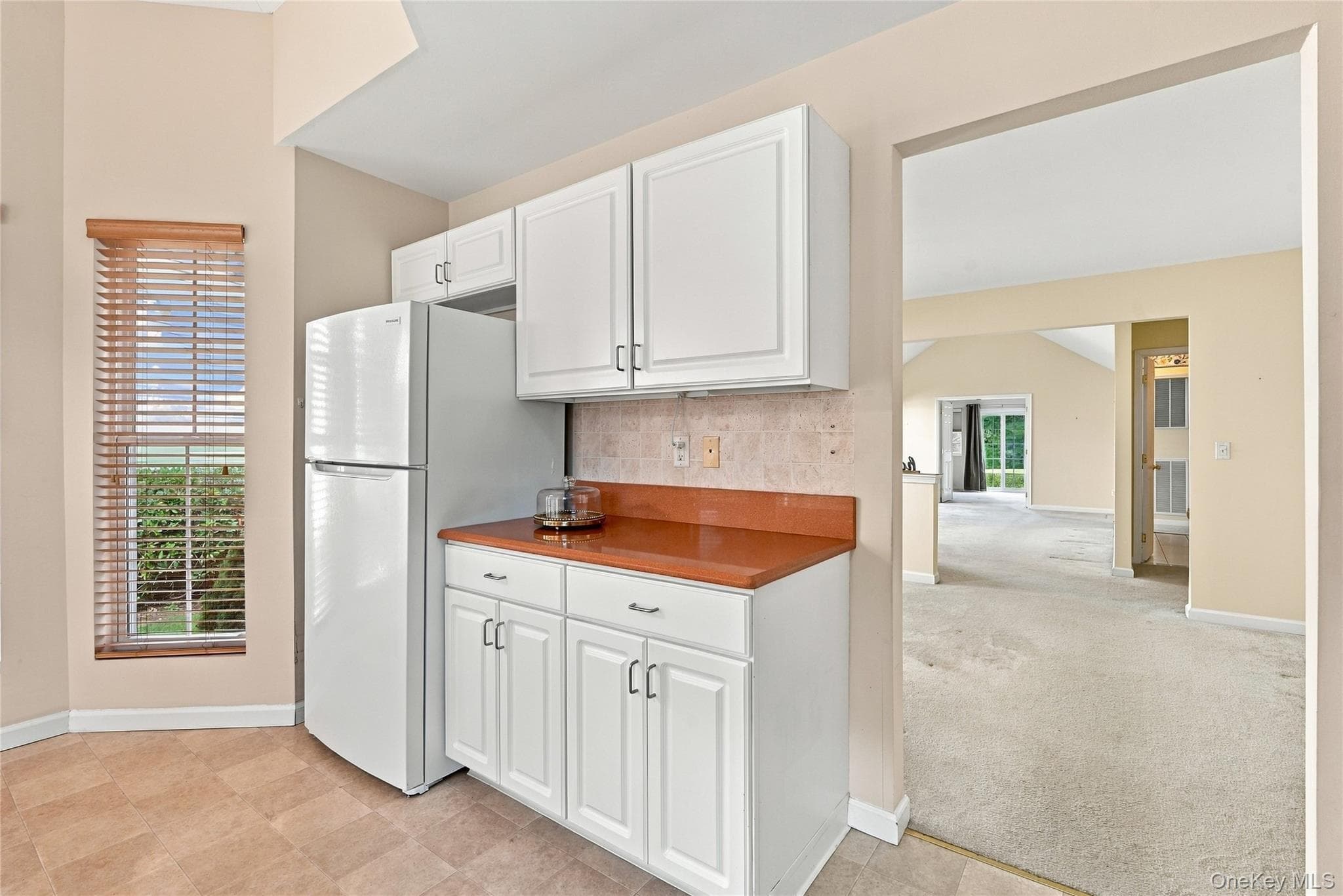 120 Scenic Lake Drive thumbnail 16