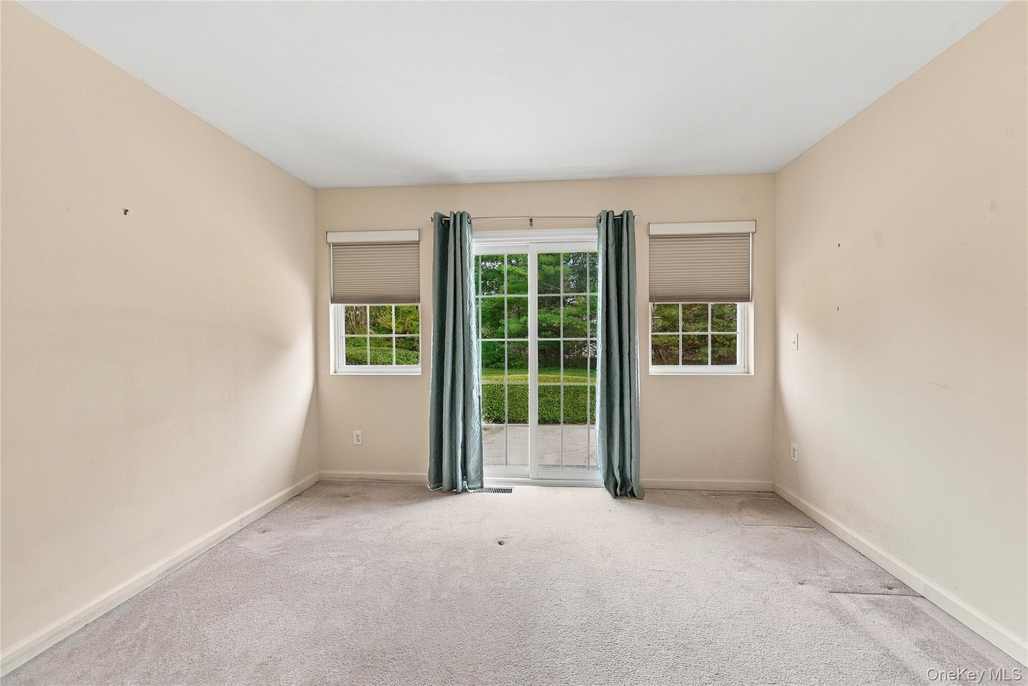 120 Scenic Lake Drive thumbnail 21
