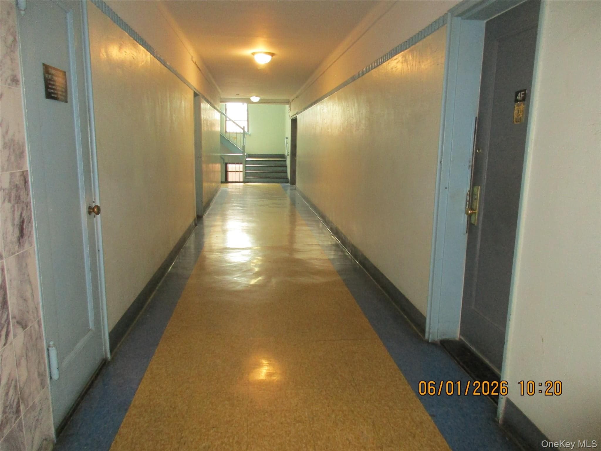40-05 Ithaca Street Unit: 4M thumbnail 13