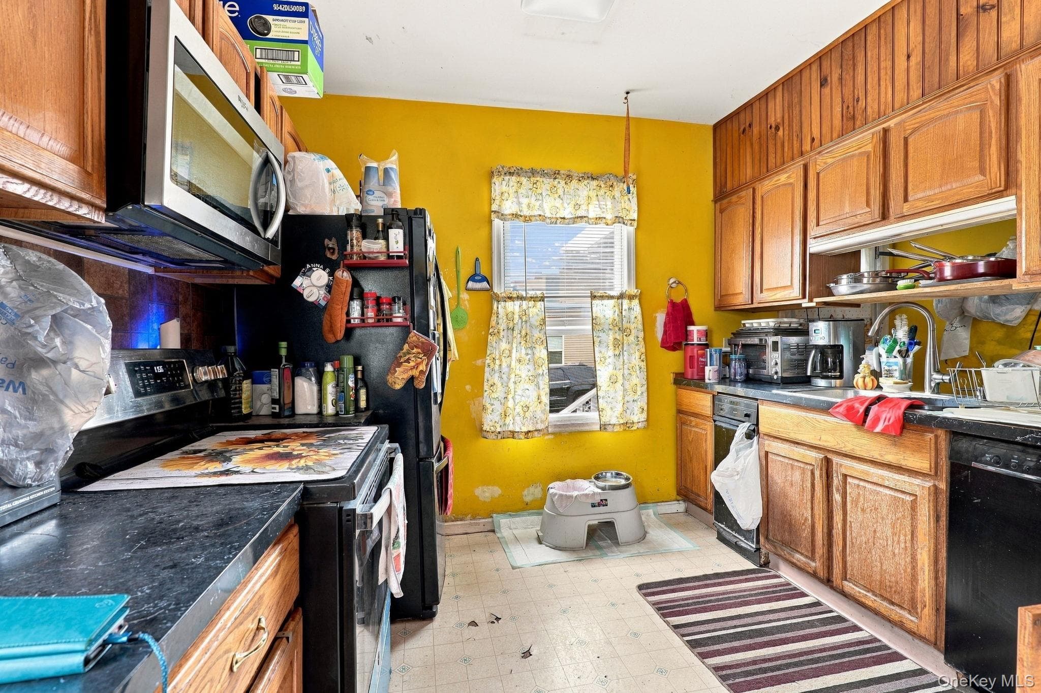 61 Fowler Street thumbnail 12