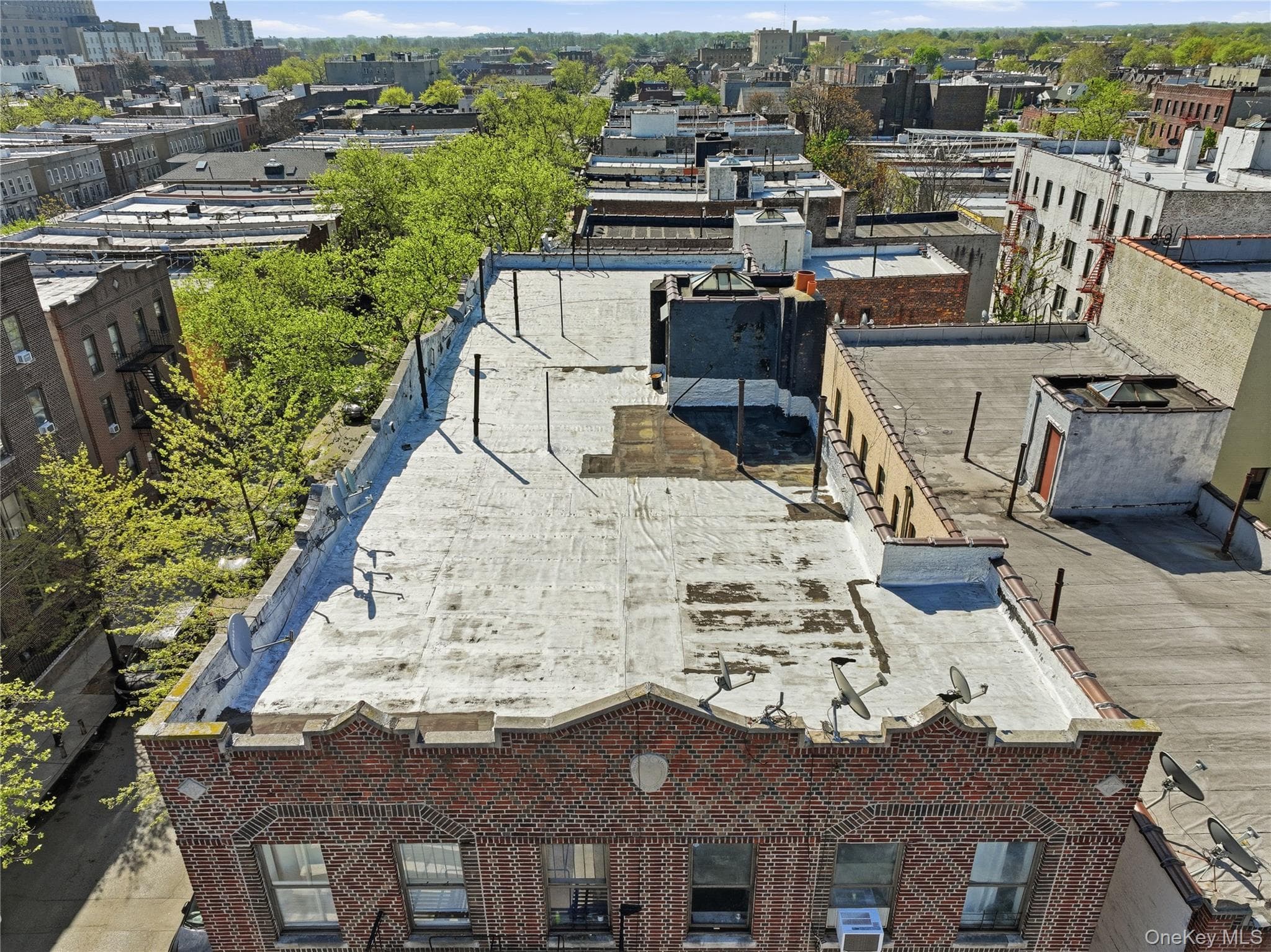 1084 Willmohr Street thumbnail 15