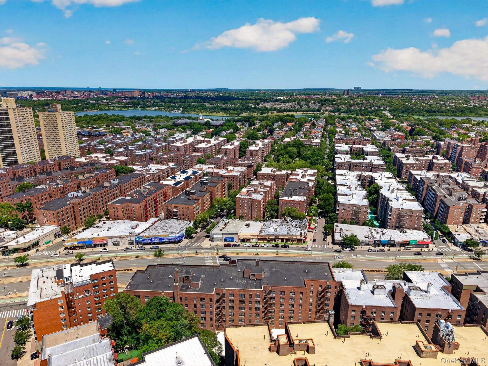 10230 Queens Boulevard Unit: 1009 thumbnail 9