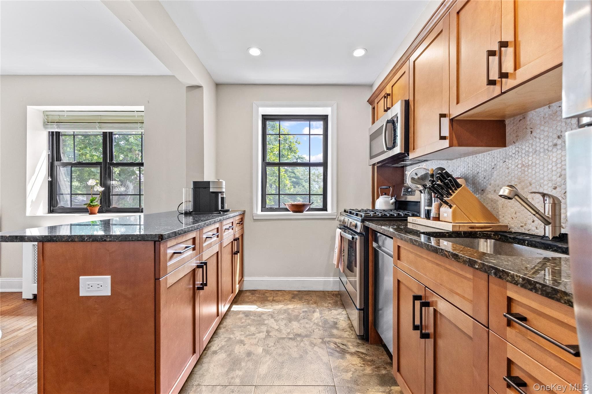 20 Manchester Road Unit: 2L thumbnail 2