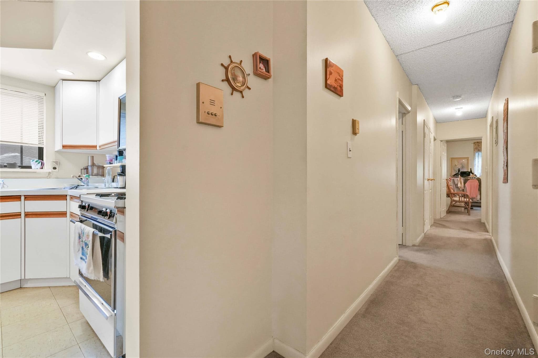 71-48 162nd Street Unit: 3 thumbnail 13