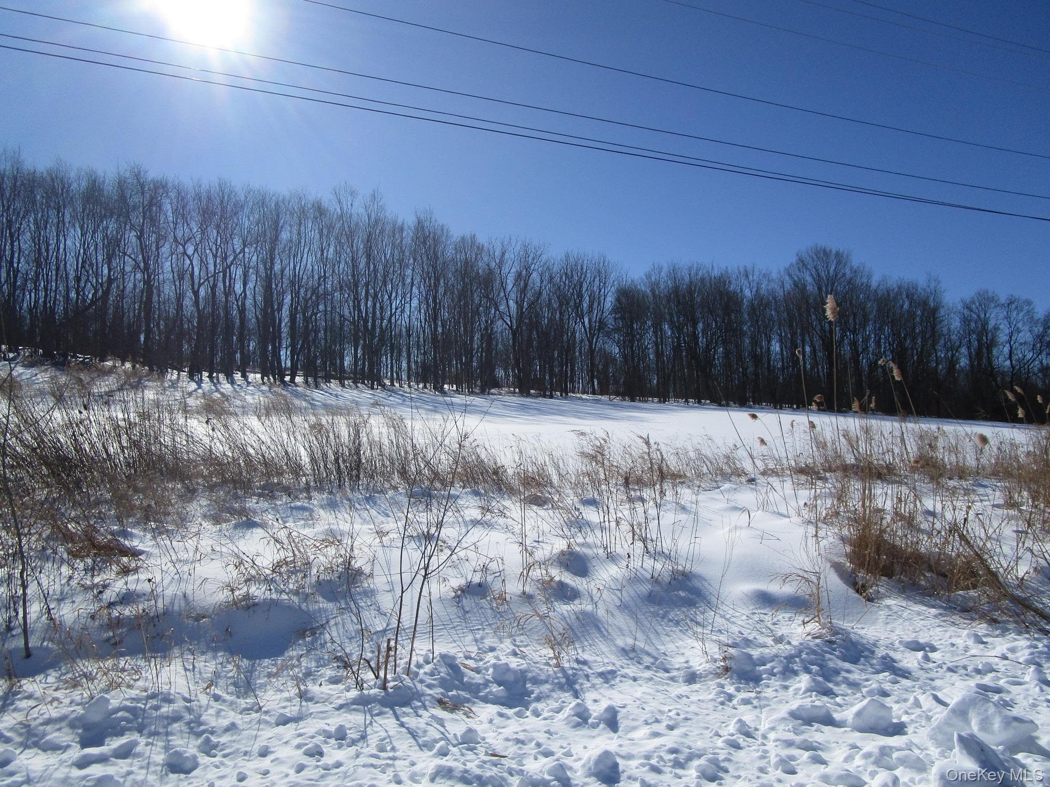 853 Pulaski Highway thumbnail 8