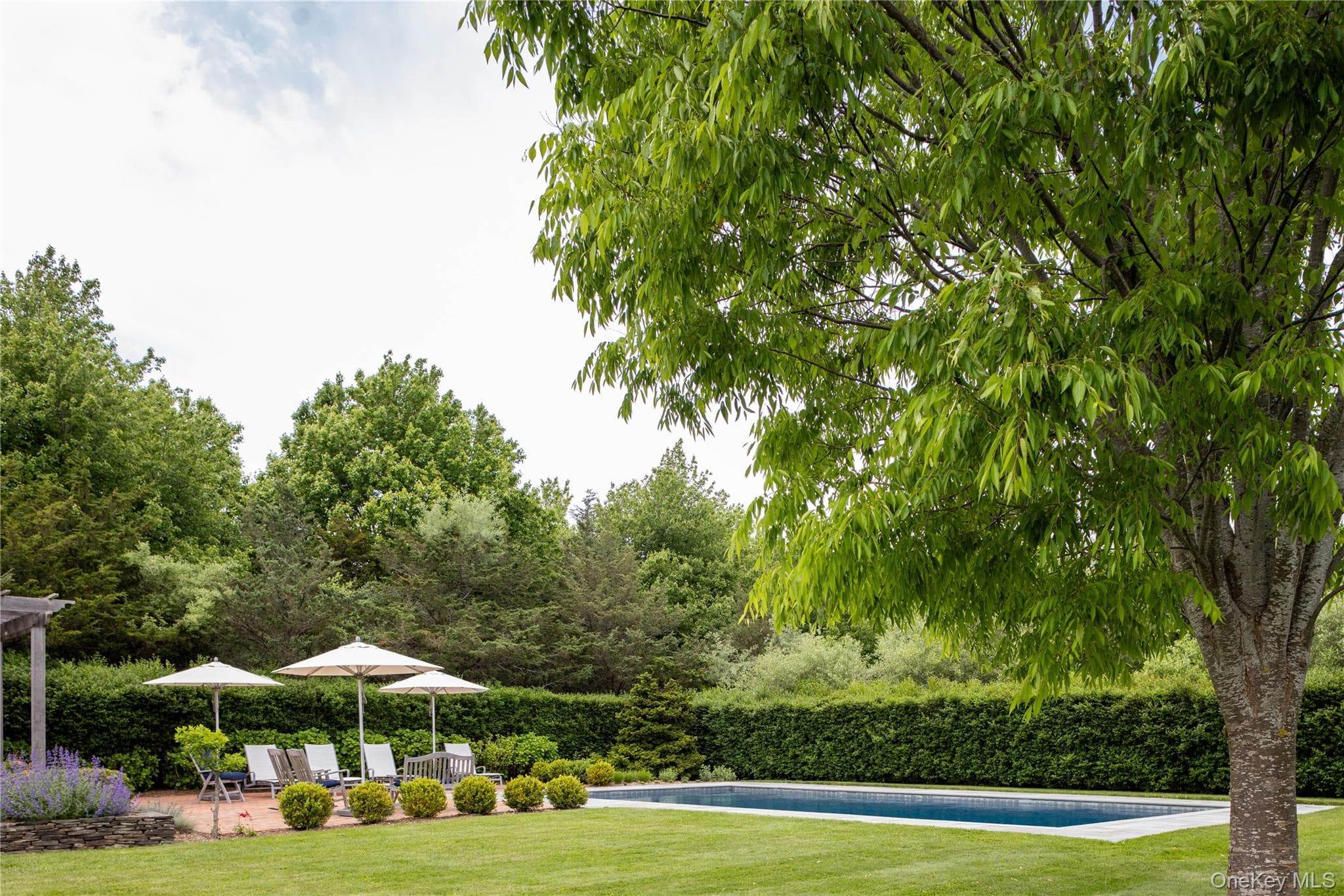 4725 Orchard Street thumbnail 8
