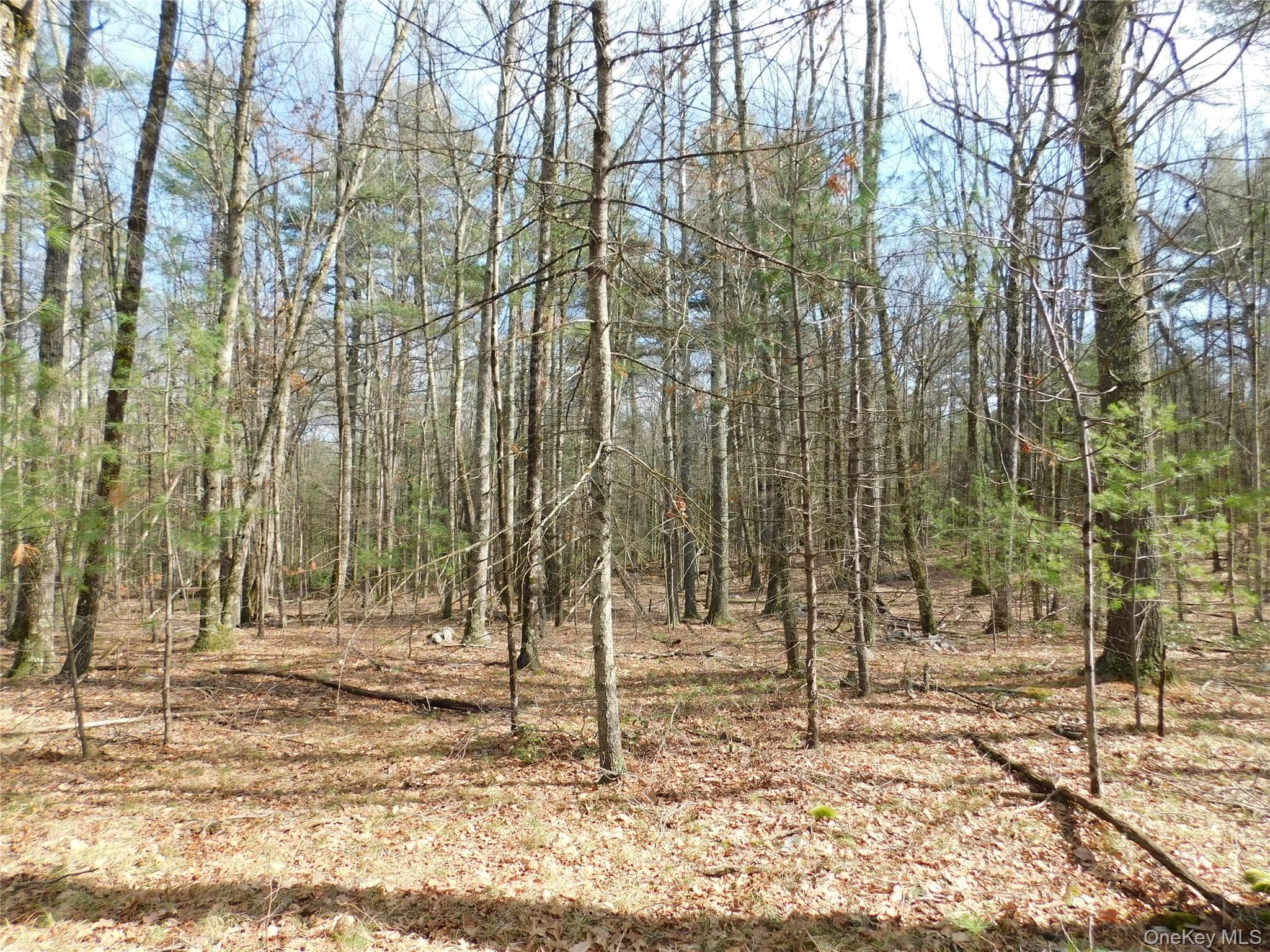 TBD Wright Rd thumbnail 17