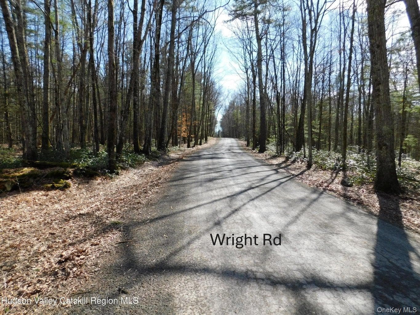 TBD Wright Rd thumbnail 5