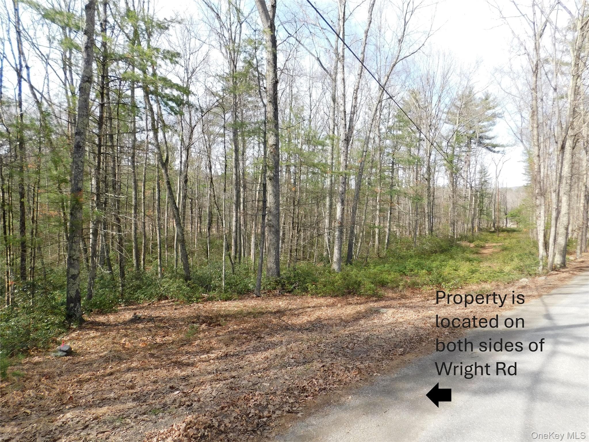 TBD Wright Rd thumbnail 6