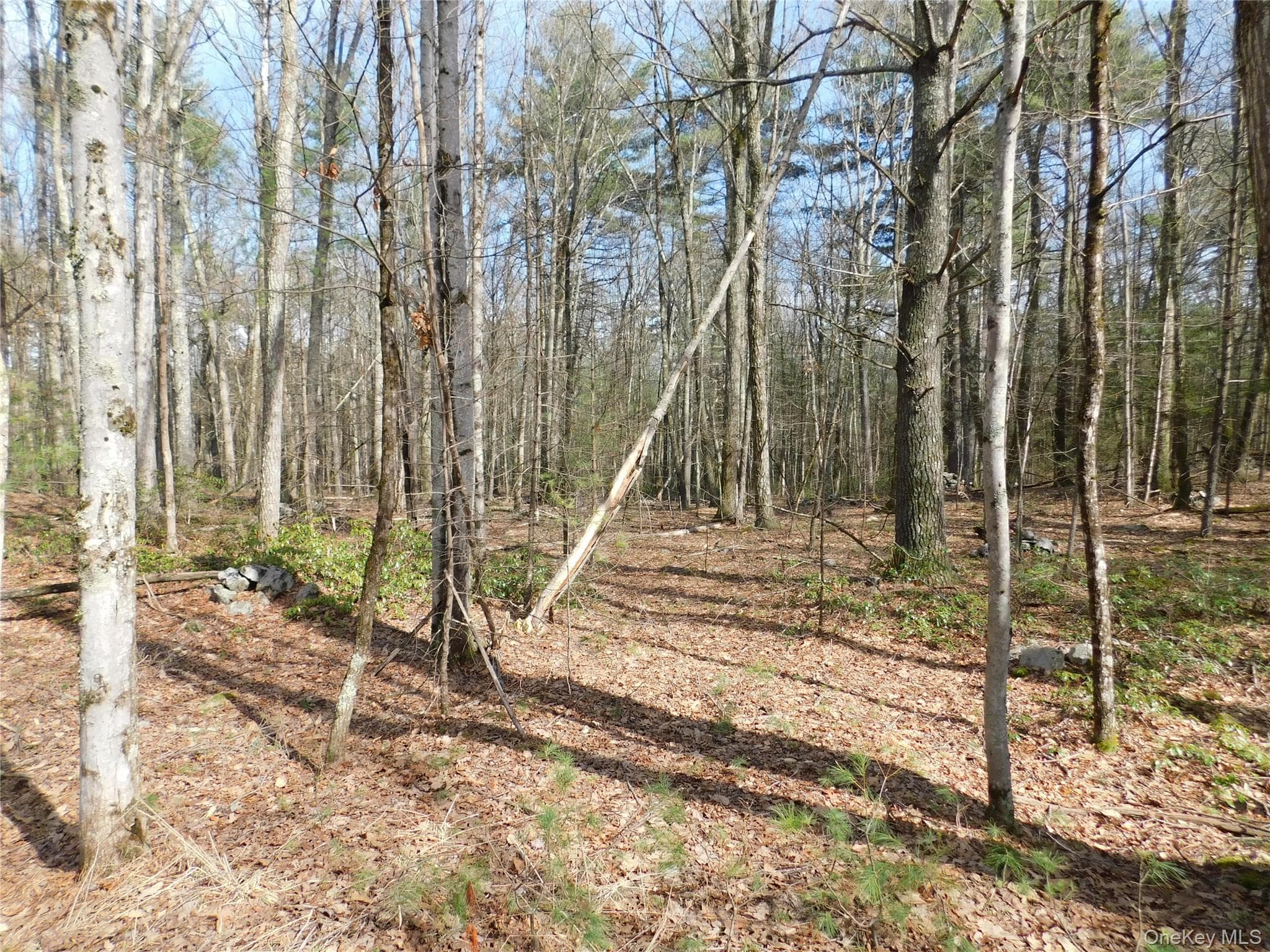 TBD Wright Rd thumbnail 16