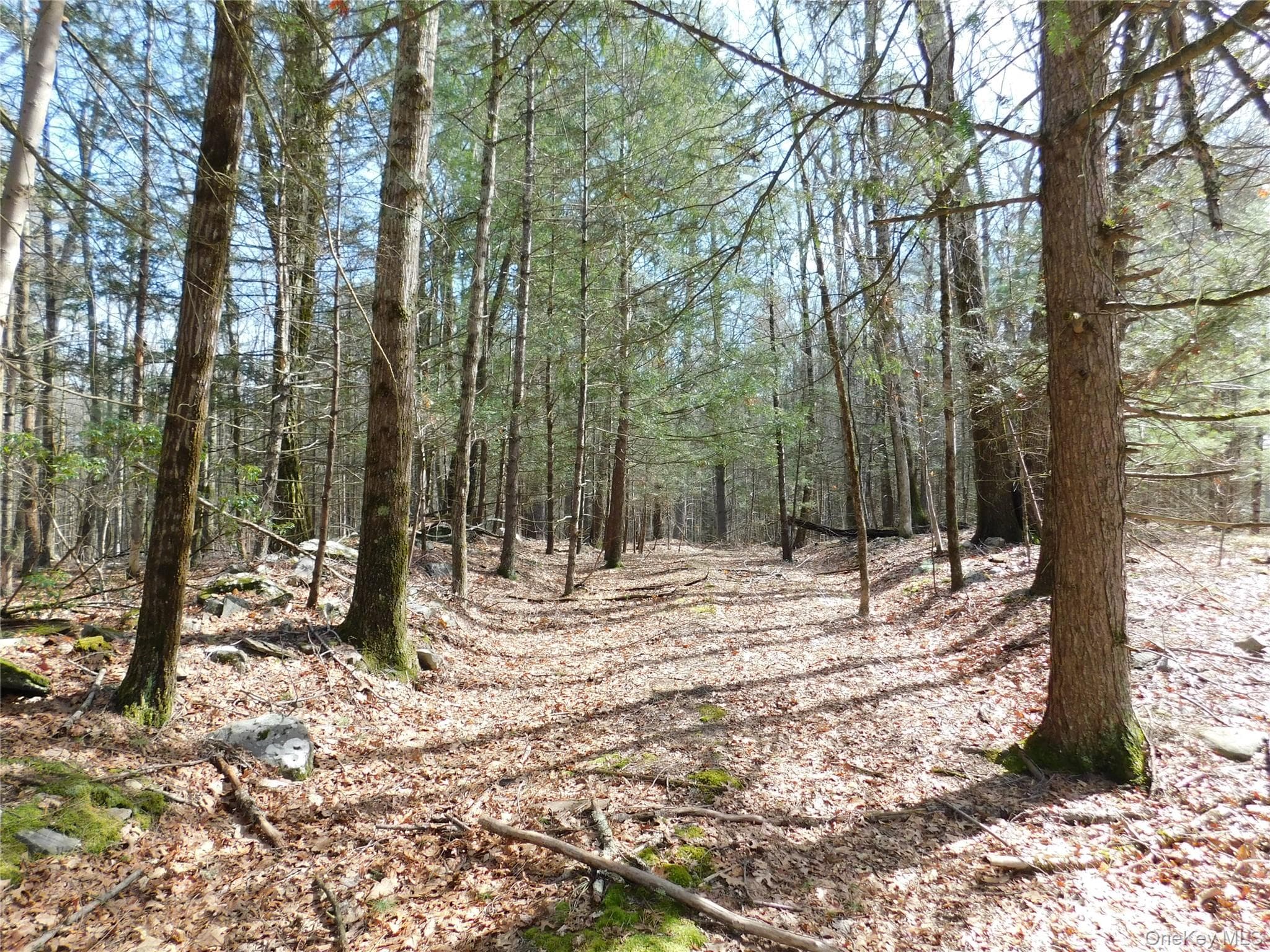 TBD Wright Rd thumbnail 14