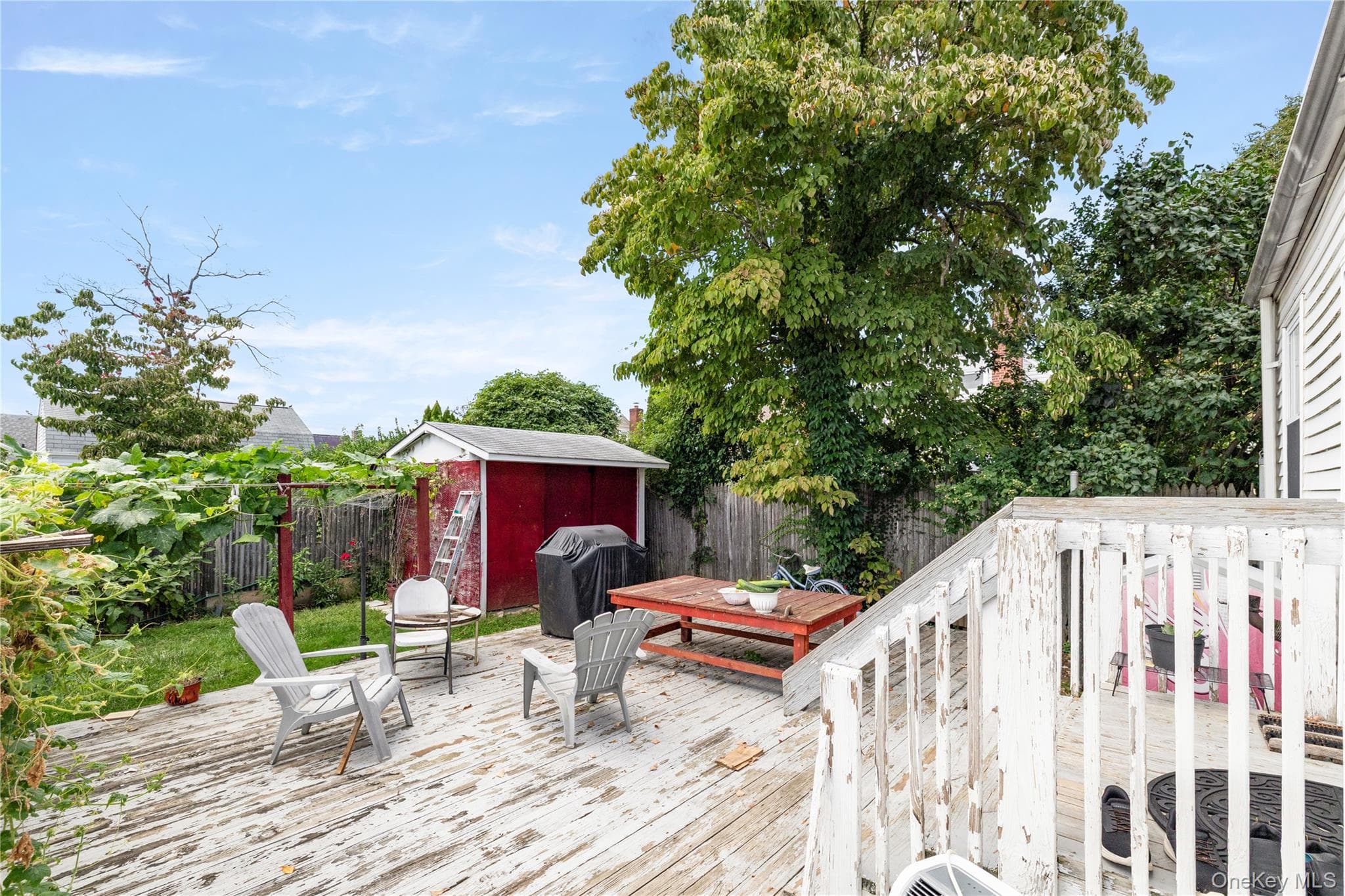 236 Dogwood Avenue thumbnail 6