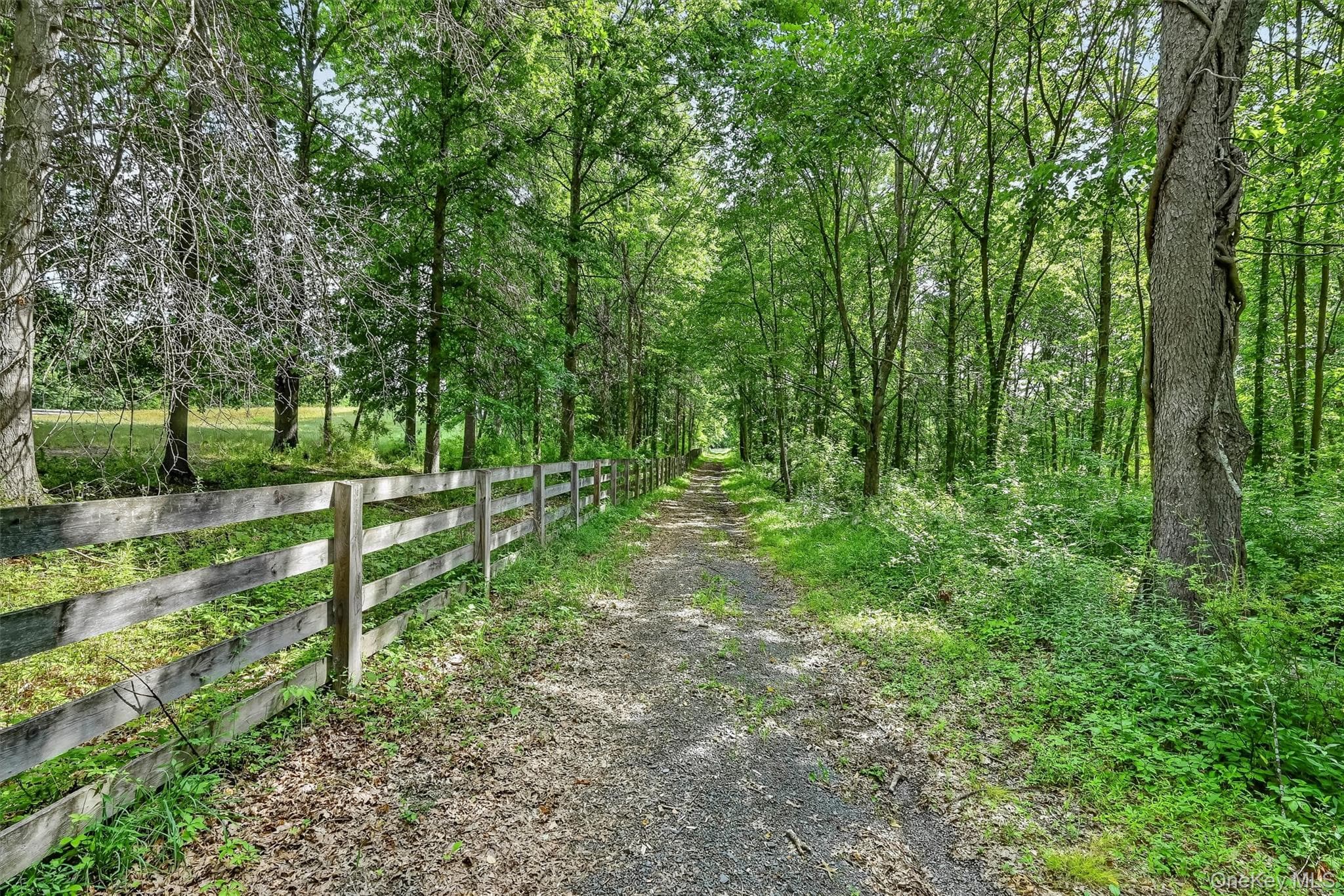 123 Collabar Road thumbnail 50