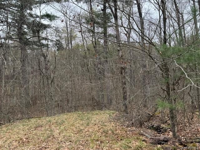 Lot 32 Woodstone Trail thumbnail 6