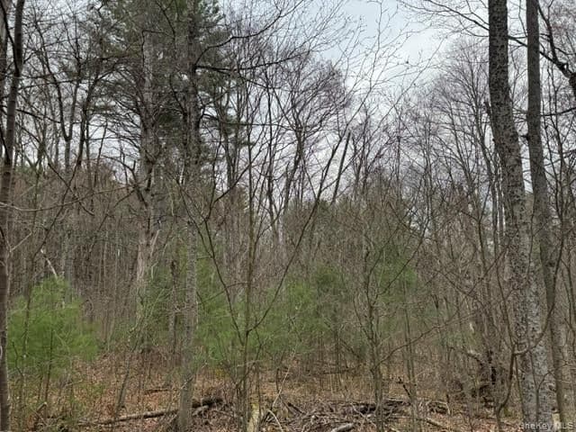 Lot 32 Woodstone Trail thumbnail 10