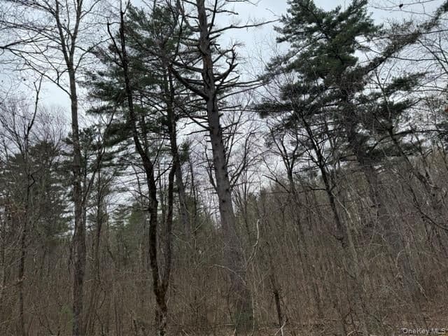 Lot 32 Woodstone Trail thumbnail 5