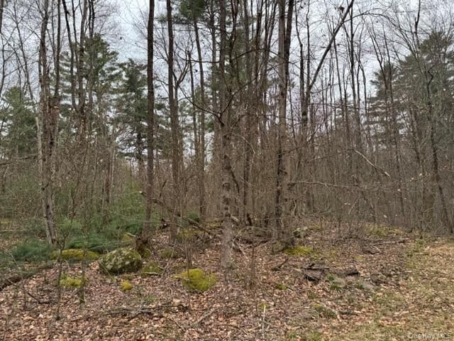 Lot 32 Woodstone Trail thumbnail 2
