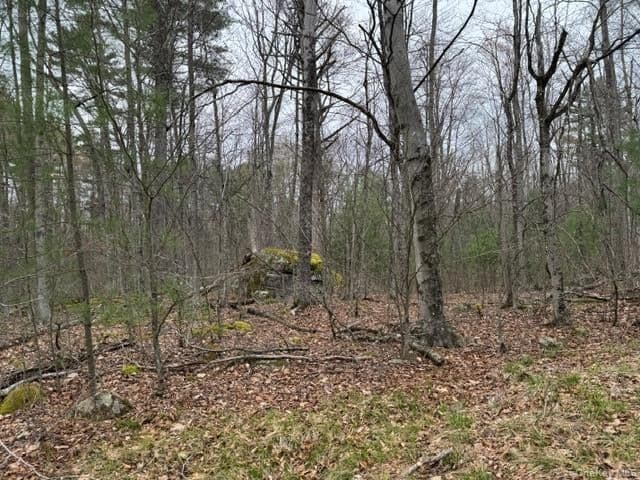 Lot 32 Woodstone Trail thumbnail 8