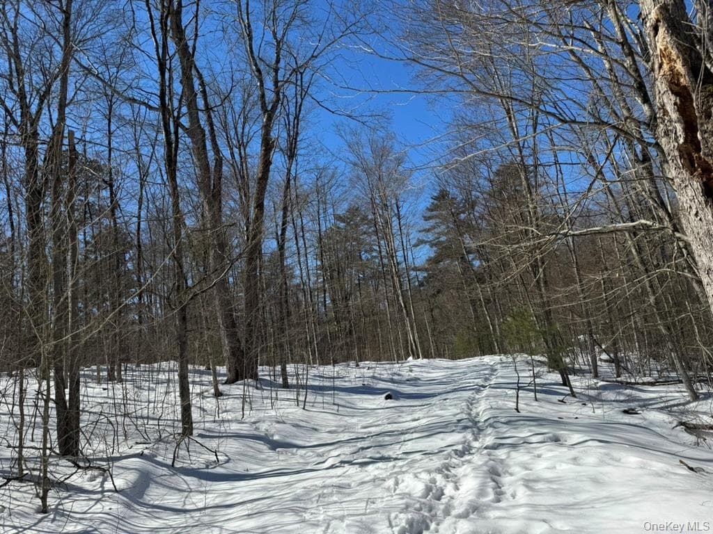 Lot 32 Woodstone Trail thumbnail 13