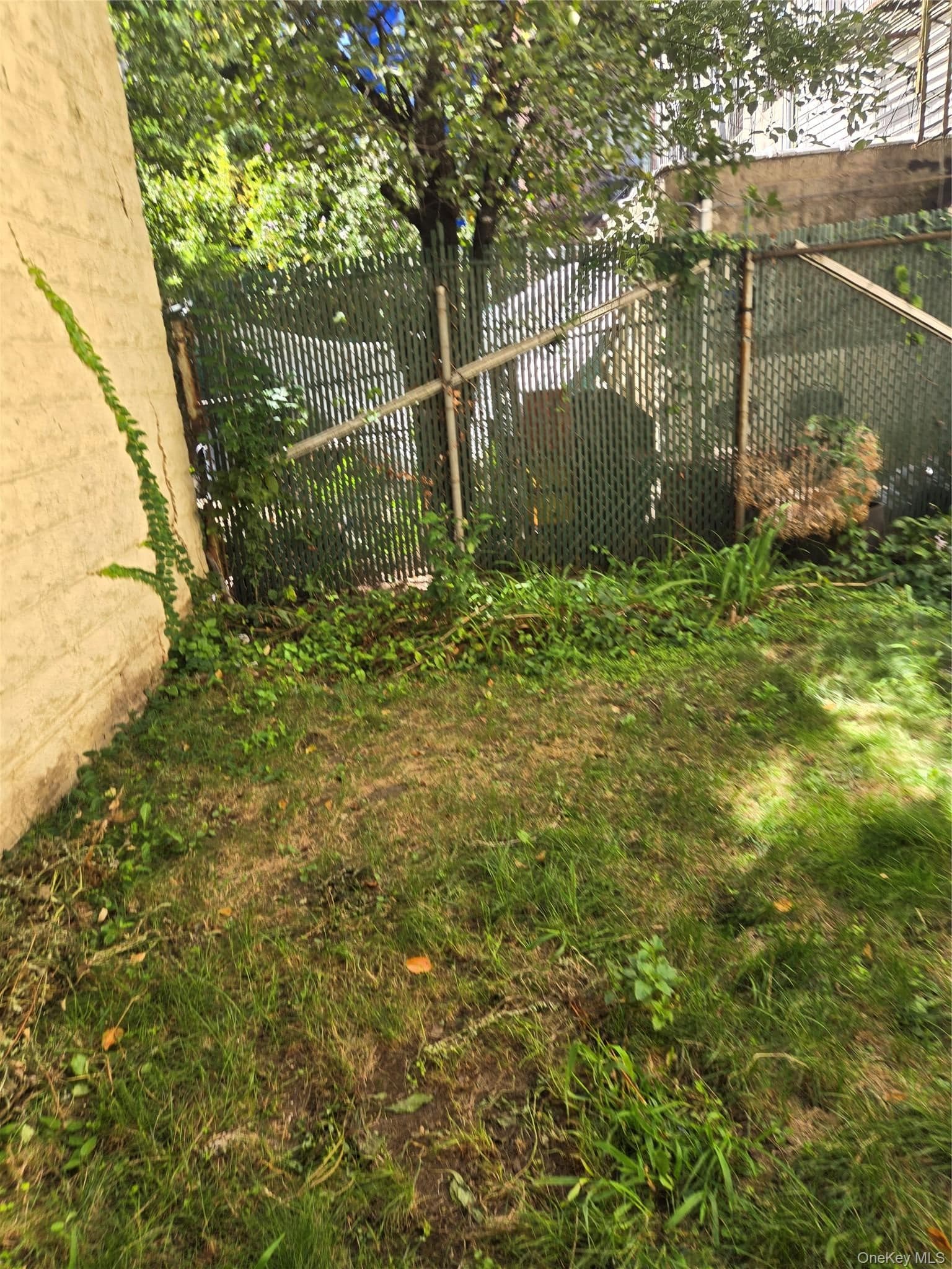 1530 Gates Avenue thumbnail 15