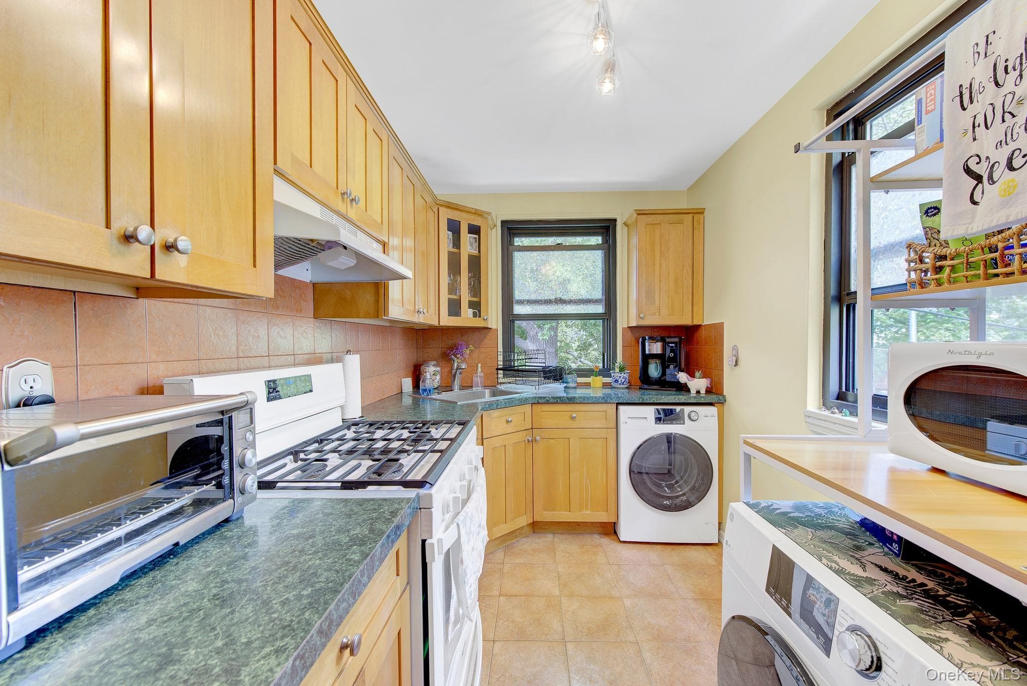 245-14 61st Avenue Unit: 0126 thumbnail 9