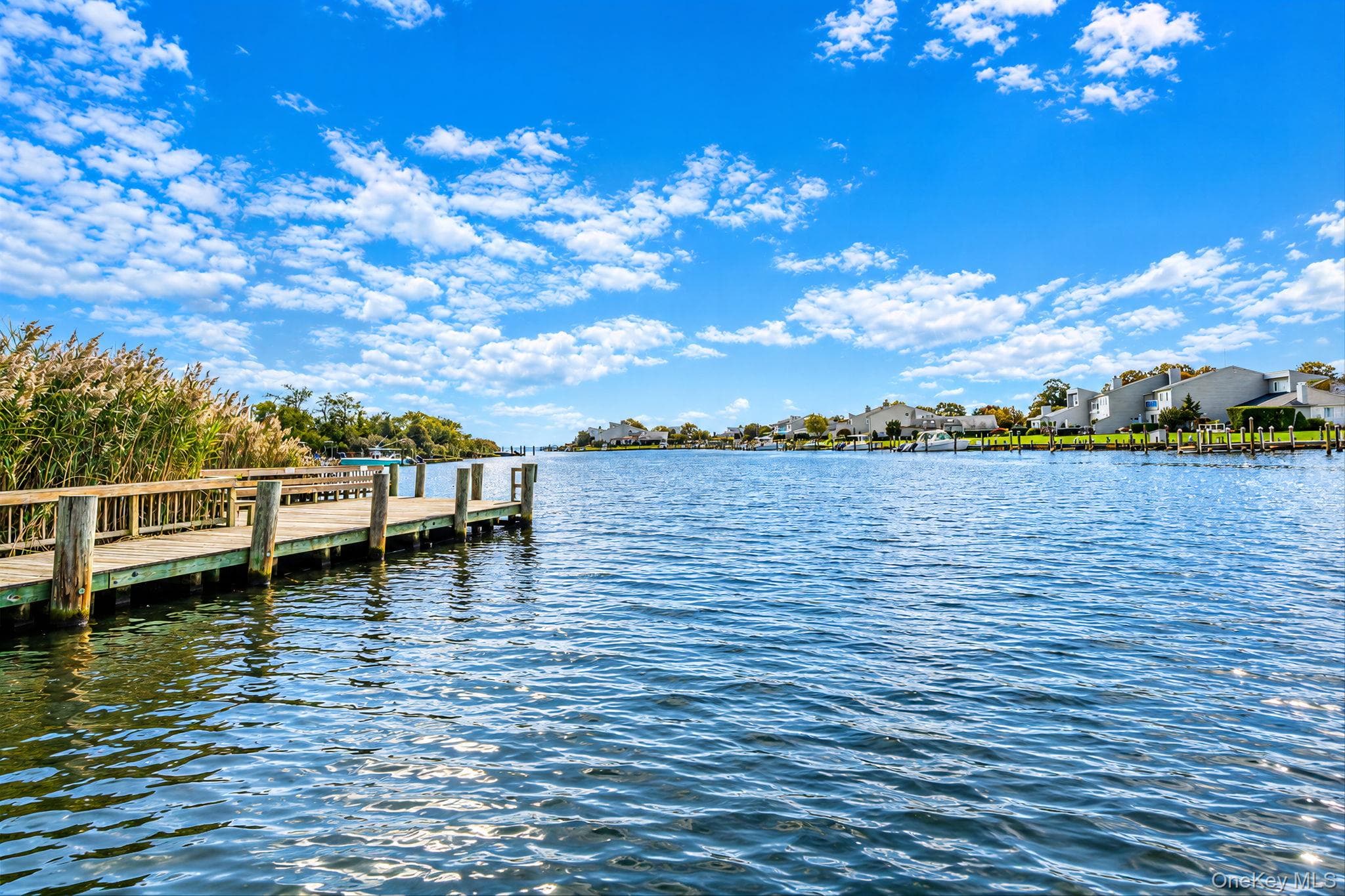 219 Fairharbor Drive Unit: 219 thumbnail 4