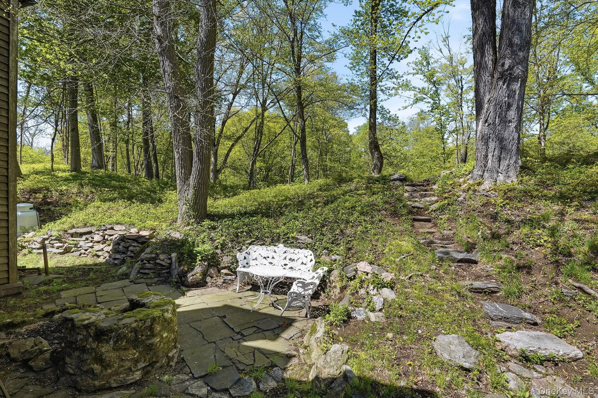 227 Cedar Lane thumbnail 22