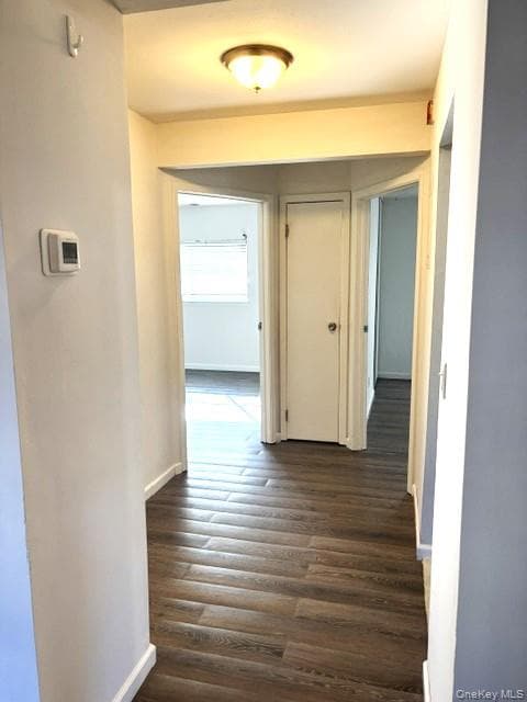 141 Pointe Circle N Cir Unit: 141 thumbnail 22