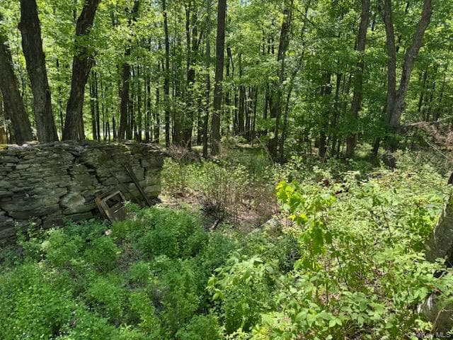 00 Polster RD photo 1