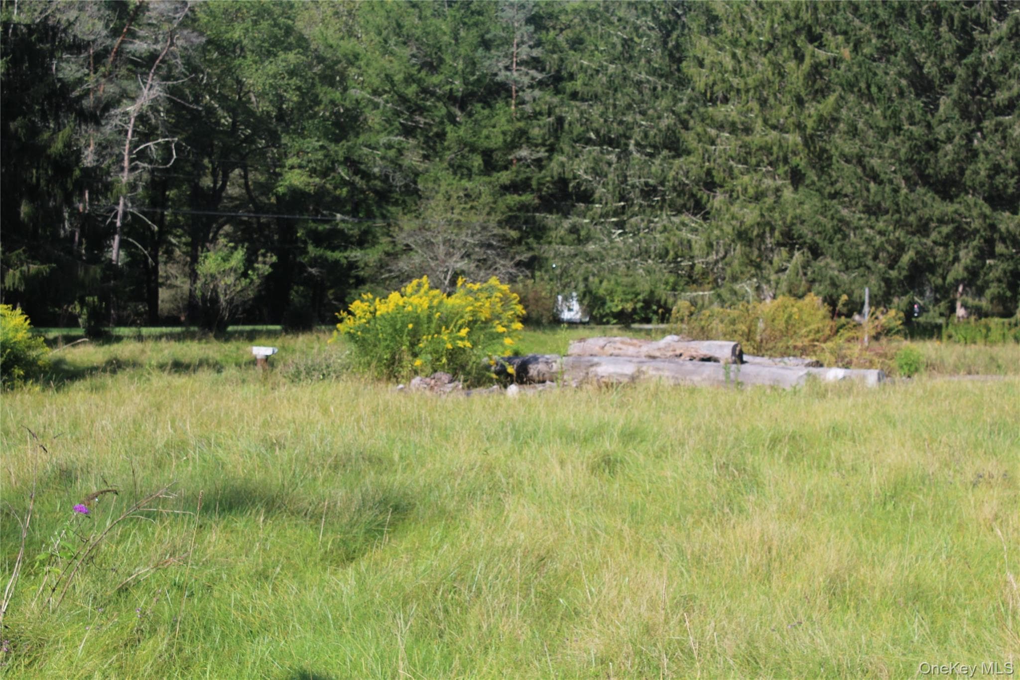 51 Wegman Road thumbnail 7