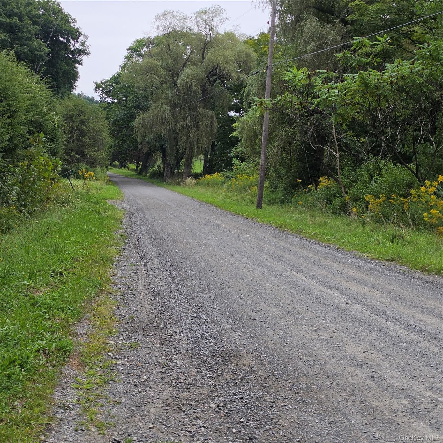 Schillings Crossing Road thumbnail 5