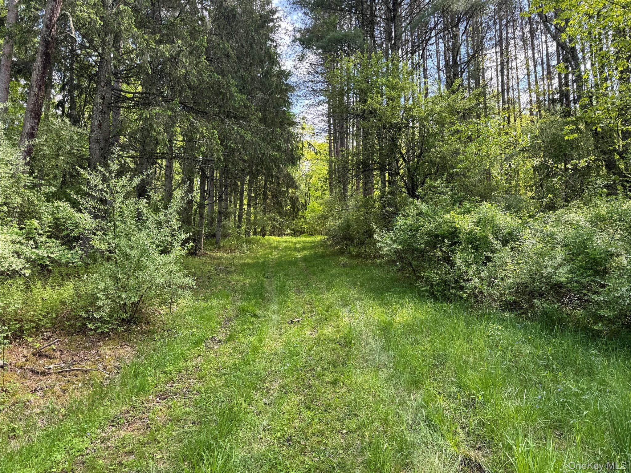 632 New Turnpike Road thumbnail 25