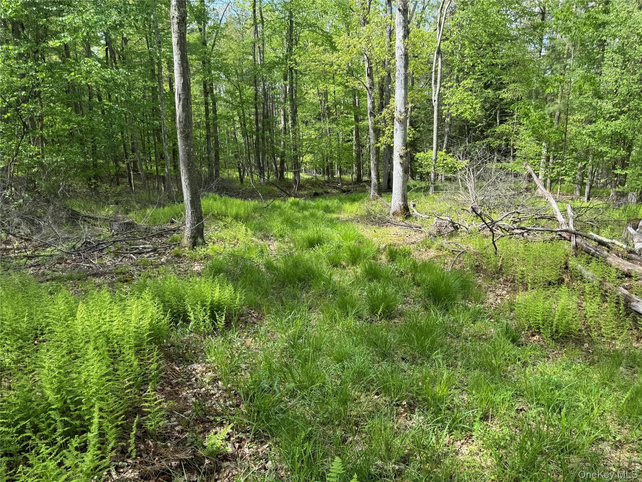 632 New Turnpike Road thumbnail 40
