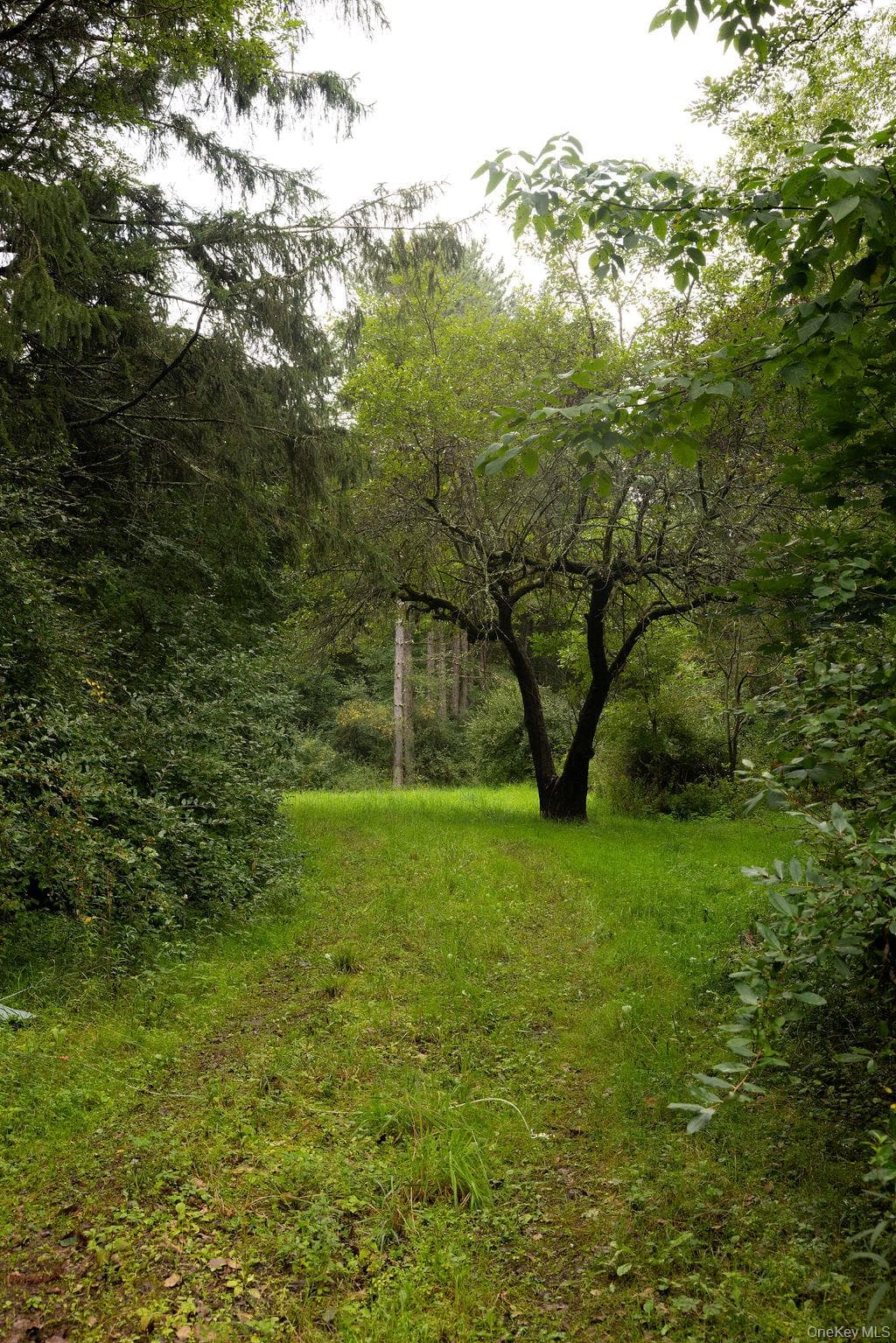 632 New Turnpike Road thumbnail 13