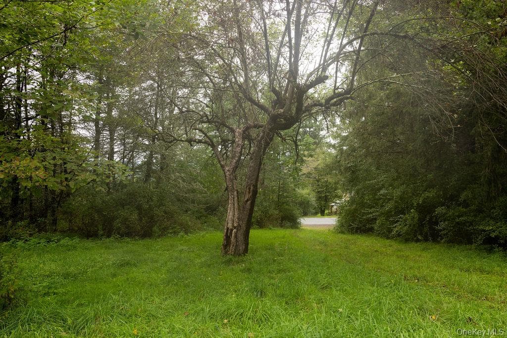 632 New Turnpike Road thumbnail 45