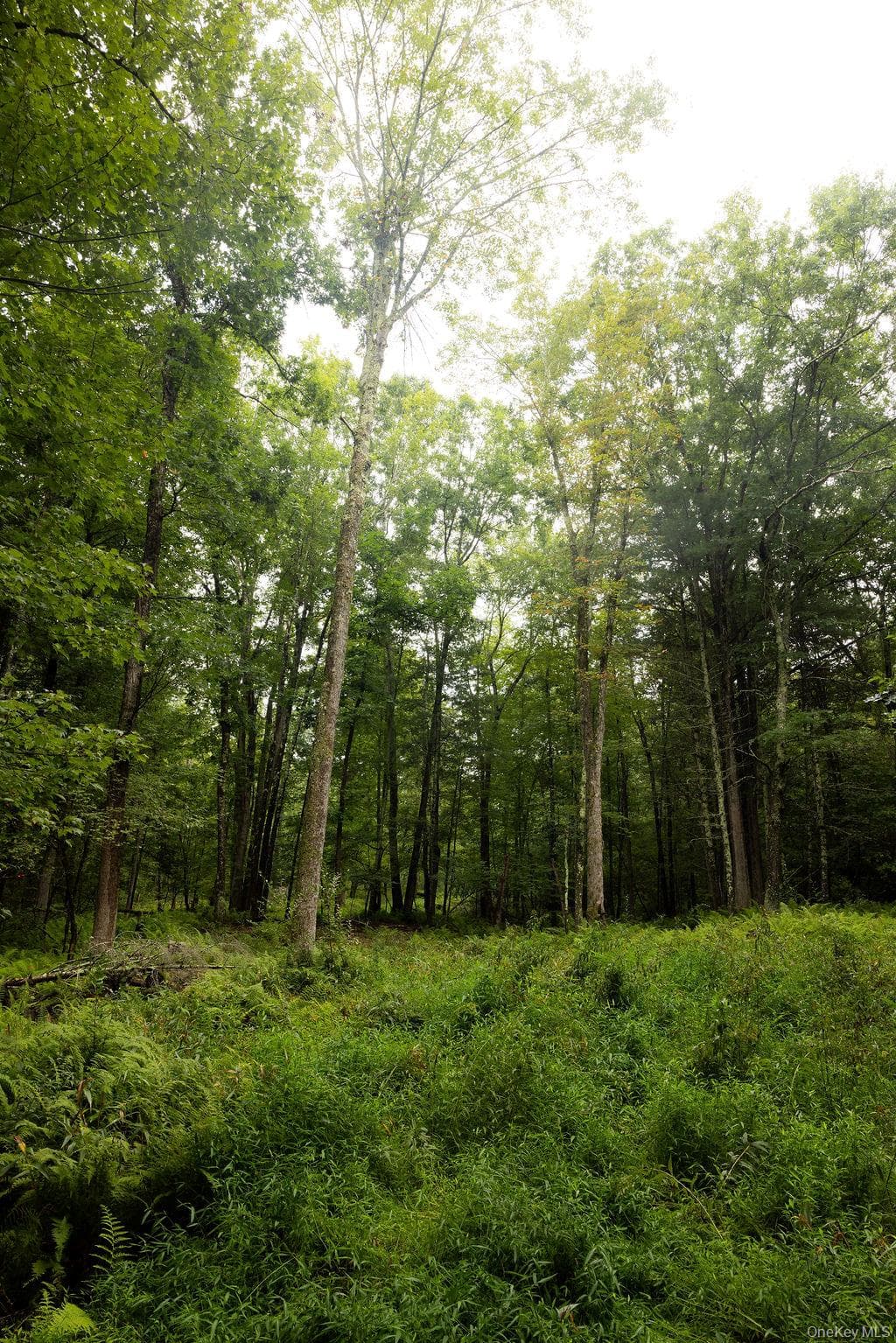 632 New Turnpike Road thumbnail 6