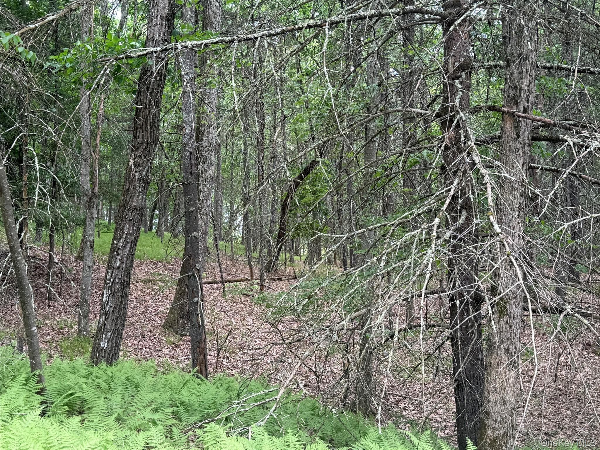 Browning Boulevard thumbnail 20