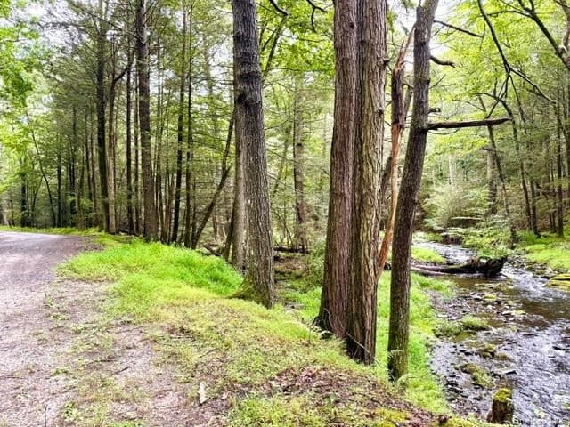 Lot 9 Black Forest Road thumbnail 6
