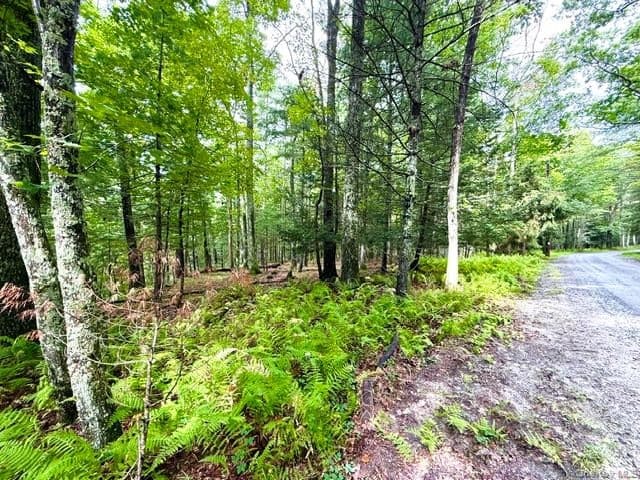 Lot 9 Black Forest Road thumbnail 9