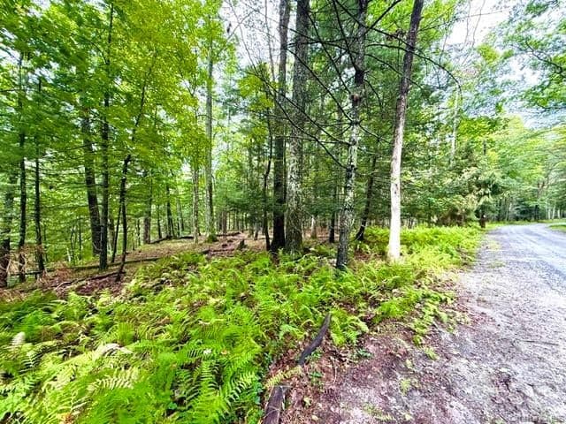 Lot 9 Black Forest Road thumbnail 10