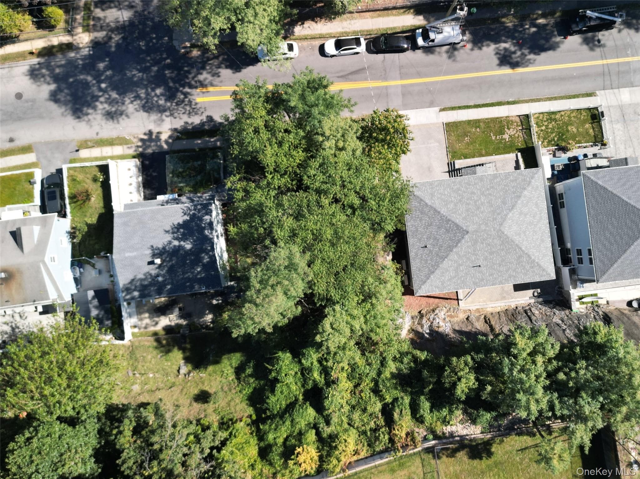 175 Frederic Street thumbnail 8