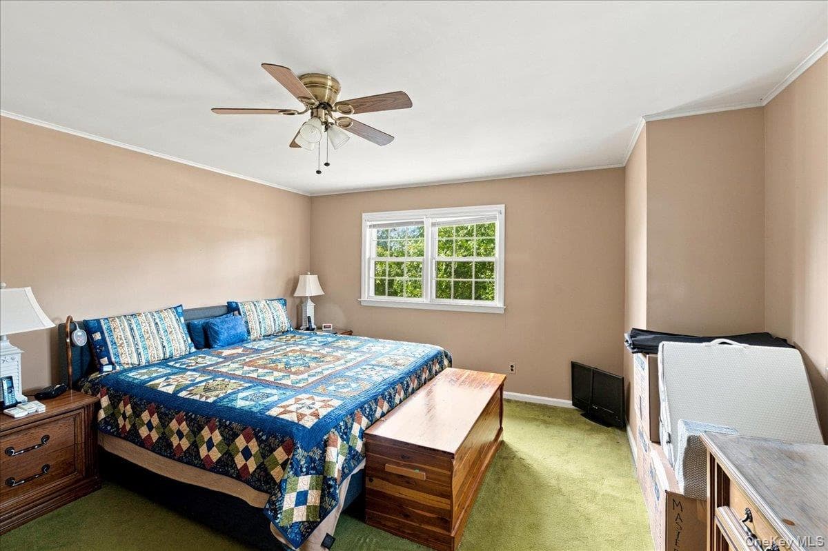 297 Maple Avenue thumbnail 11